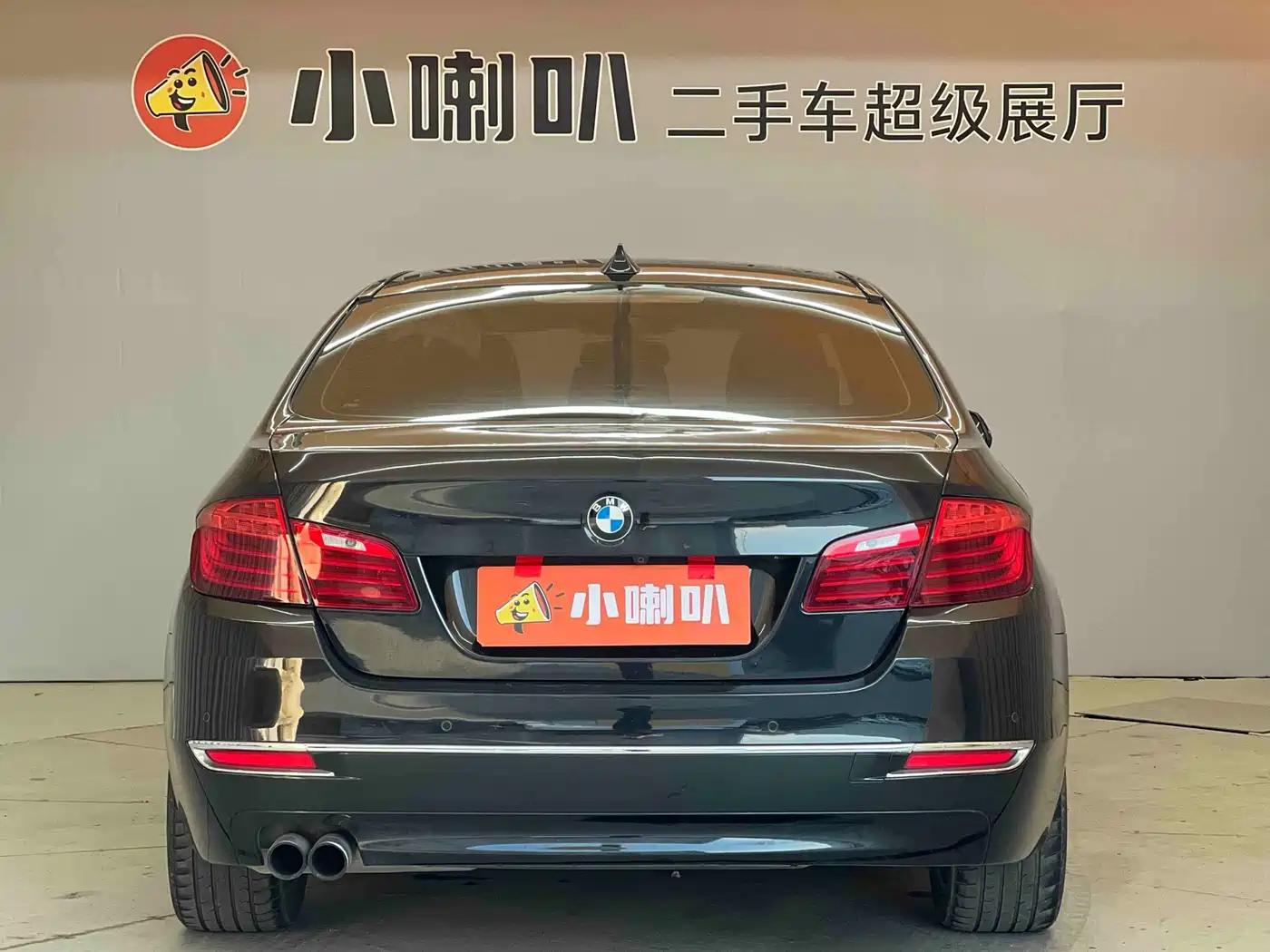 BMW 5 Series 2017 525Li Luxury Design Package фото 5