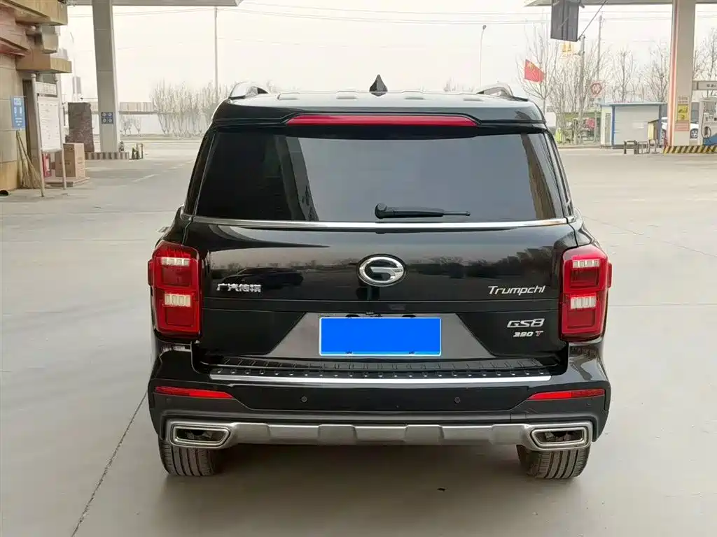 GAC Trumpchi Trumpchi GS8 2017 320T 2WD Luxury Smart Connect (7-seater) фото 8