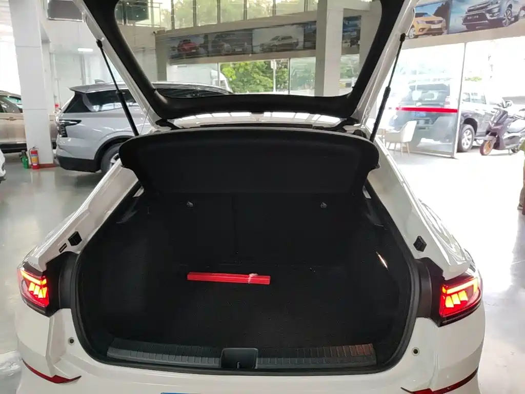 Volkswagen Lamando, миниатюра 19
