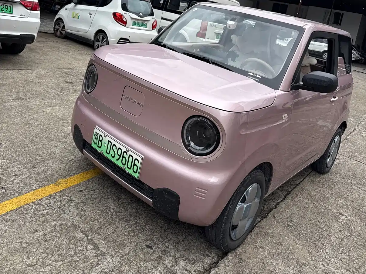 Photo 1 - Geely Galaxy Panda
