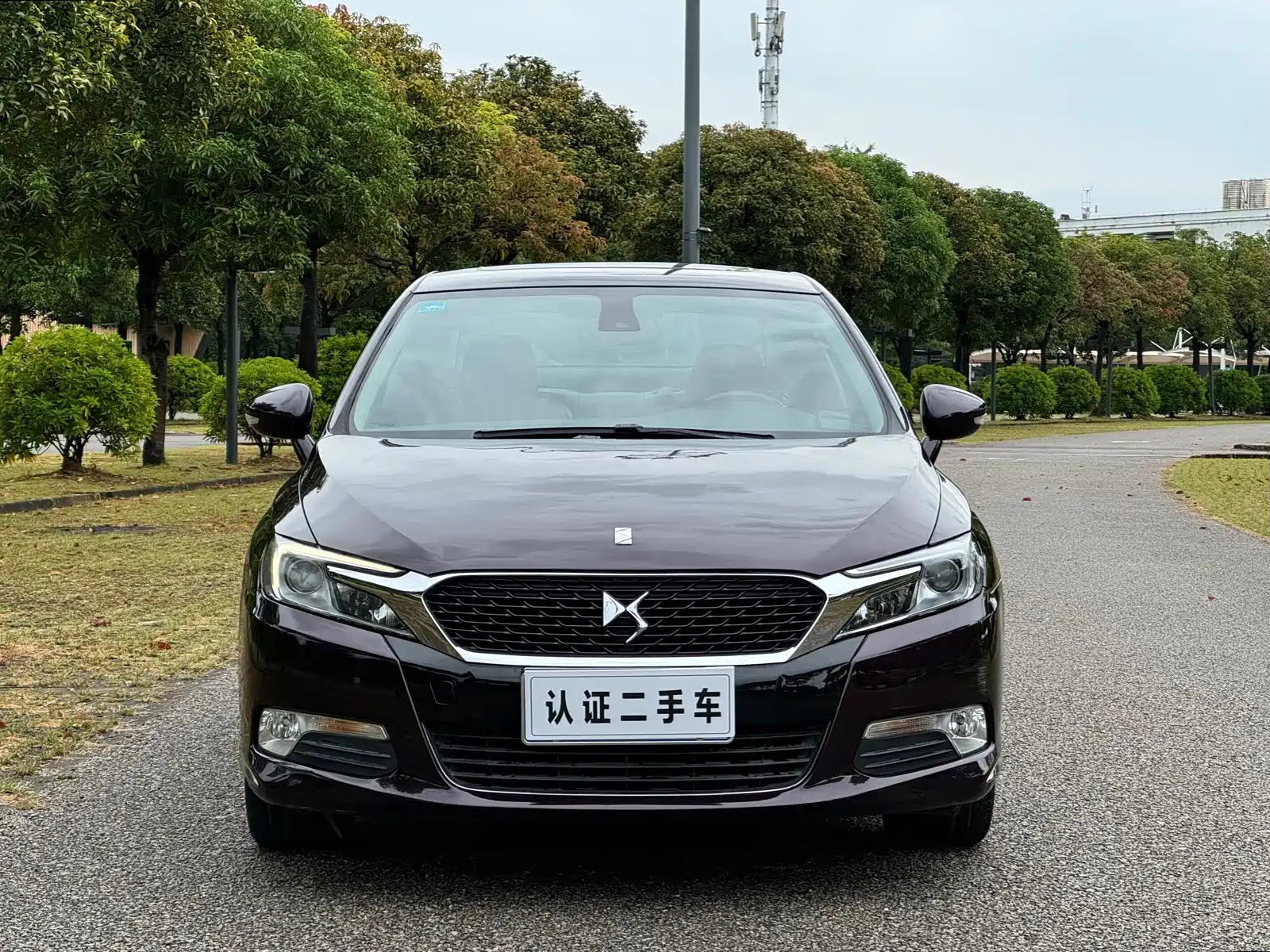 Фото 2 - DS 5LS