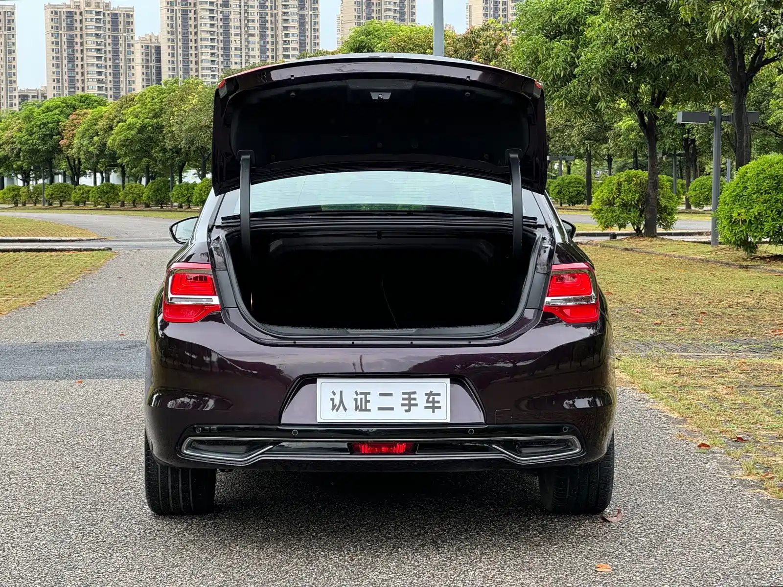 Фото 15 - DS 5LS