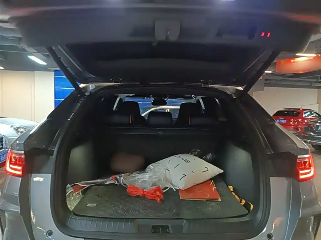 BYD Song PLUS PHEV 2021 DM-i 110KM Flagship PLUS фото 19