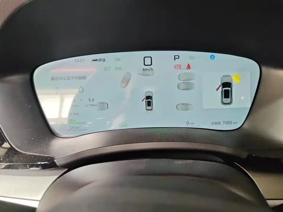 BYD Song PLUS PHEV 2025 DM-i 112KM Honor фото 8