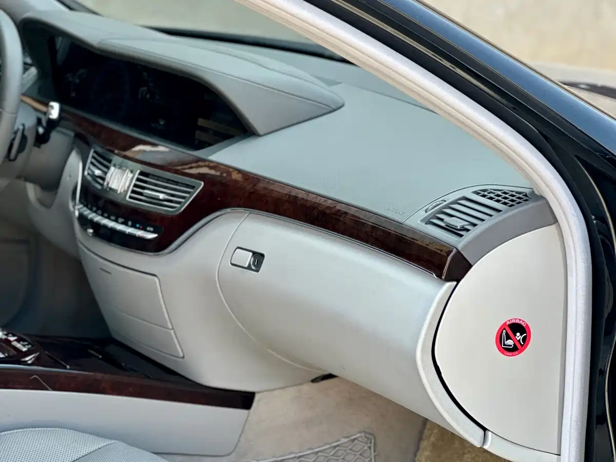 Mercedes-Benz S-Class 2010 S 350 L Luxury фото 49