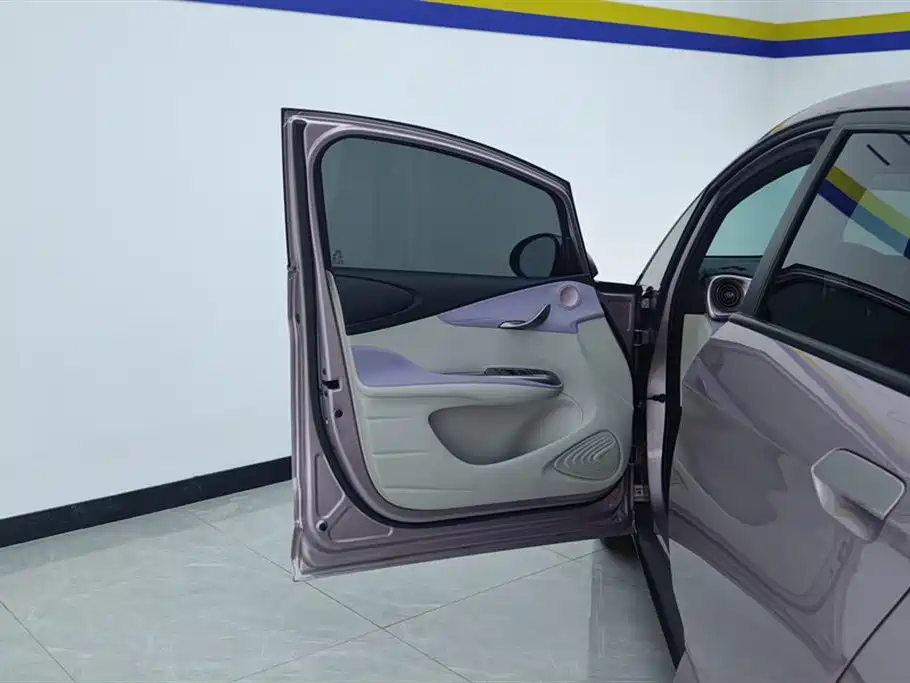 BYD Dolphin 2021 Model 405km Fashion Edition фото 7