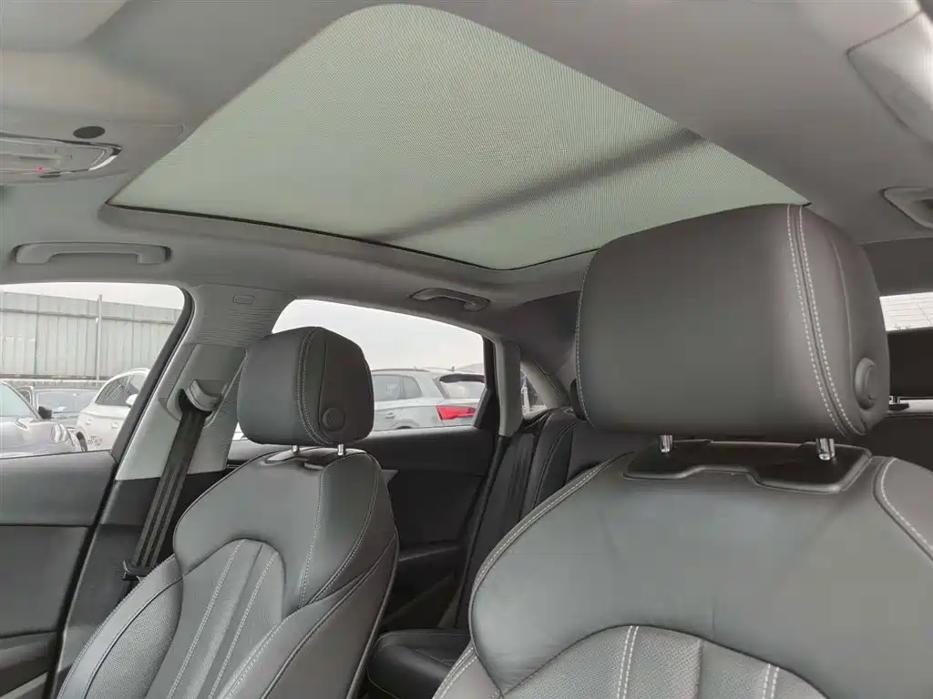 Audi A4L 2020 40 TFSI Luxury Dynamic фото 13