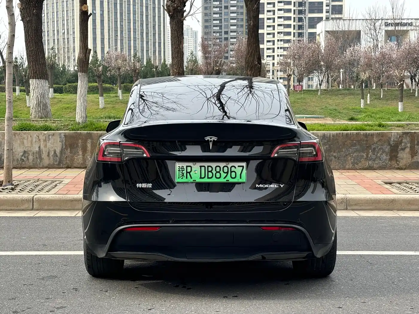 TESLA MODEL Y