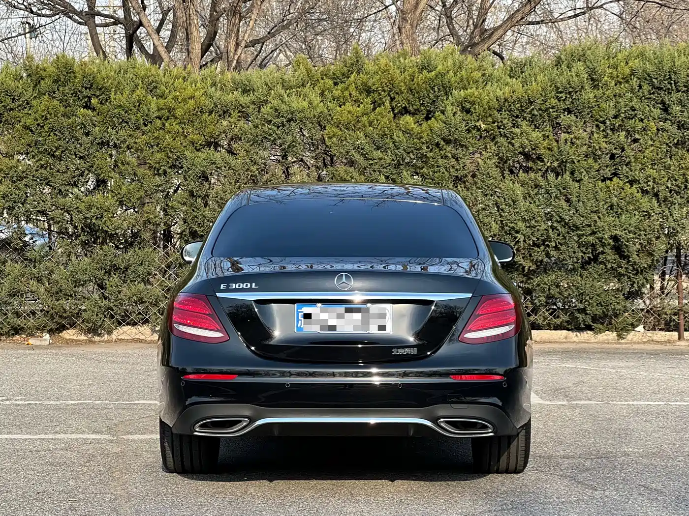Mercedes-Benz E-Class 2016 E 300 L Sport Luxury фото 4