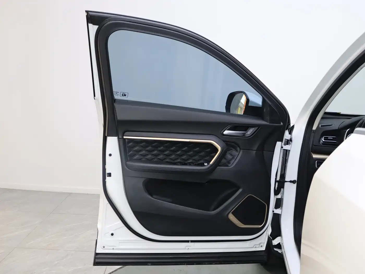 Haval H6 2021 1.5GDIT Automatic Luxury Edition фото 11