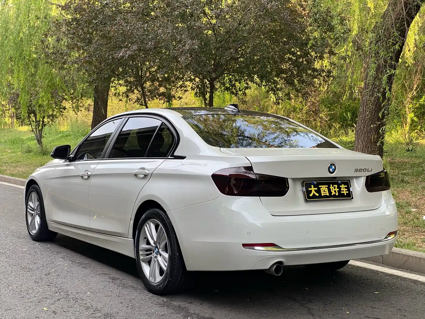 BMW 3 Series 2016 320Li Progressive фото 6