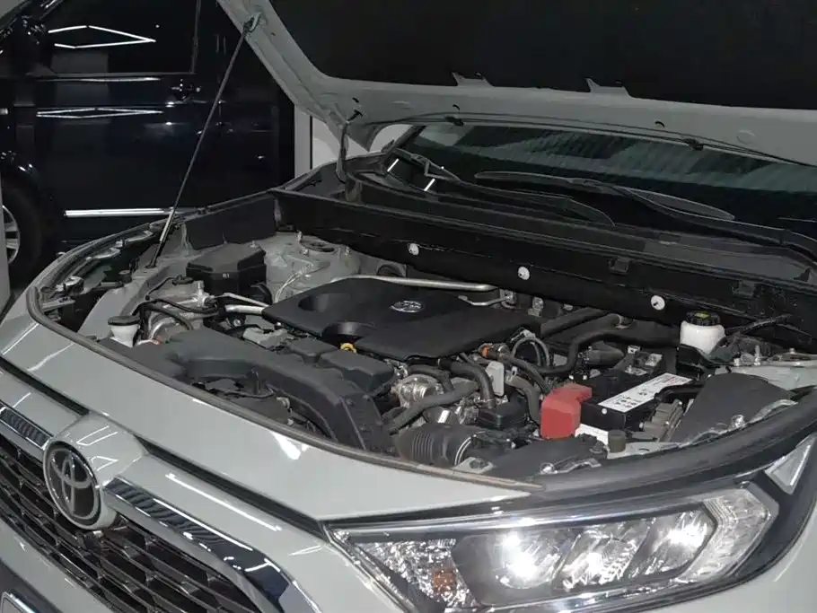 Toyota RAV4 Rongfang 2020 2.0L CVT 4WD Premium Edition фото 6