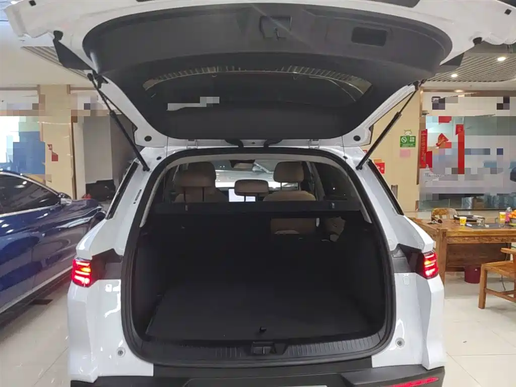 BYD Song Pro New Energy 2025 2nd Gen DM-i 75KM Leading Type фото 18