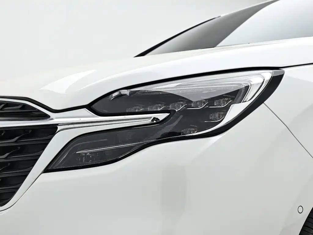 Фото 10 - Buick GL8