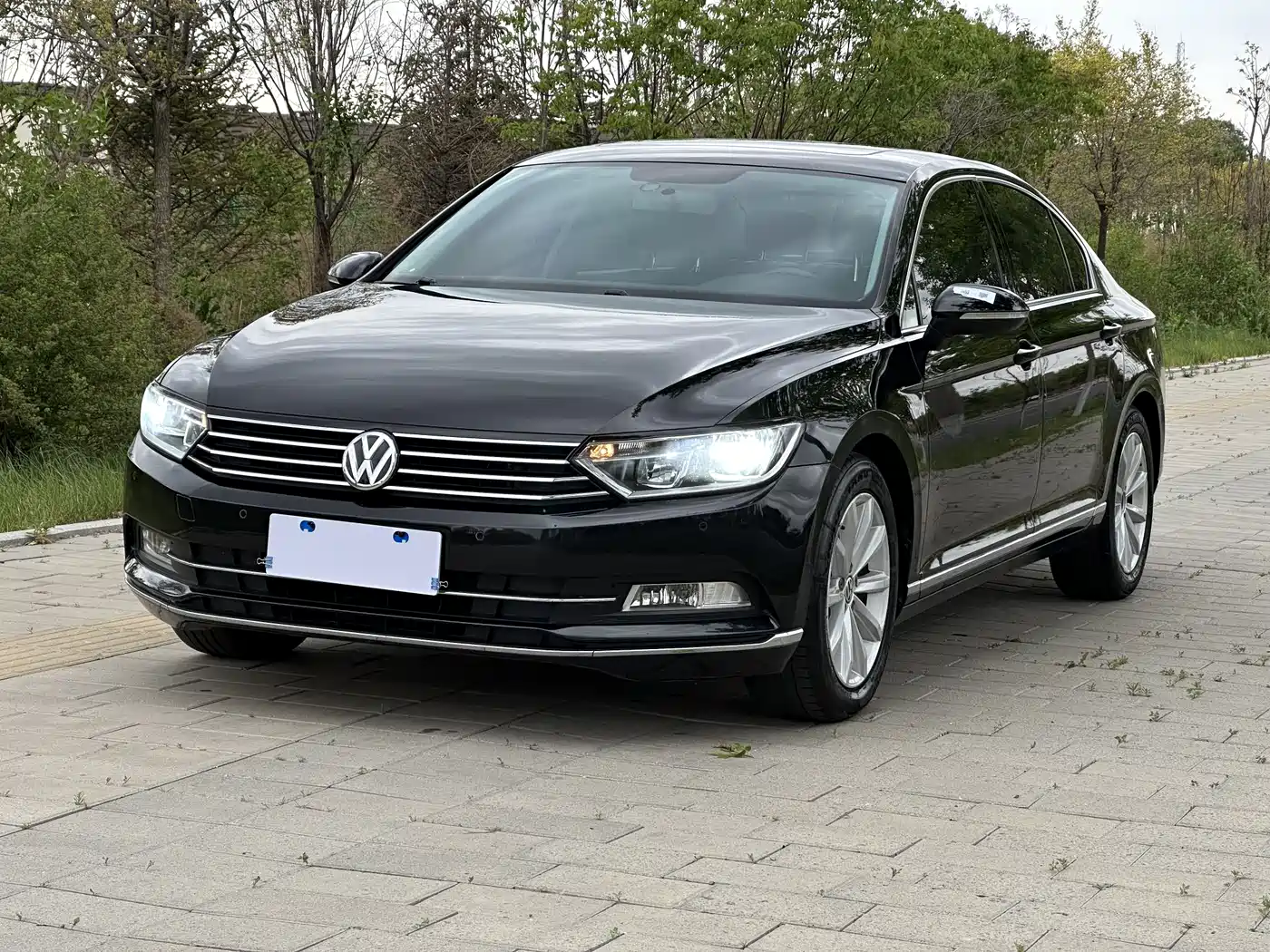 Volkswagen Magotan 2018 330TSI DSG Leading