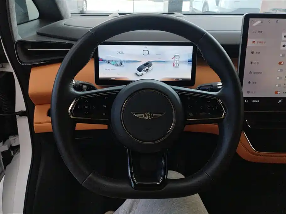 GEELY GALAXY WING TRUE L380