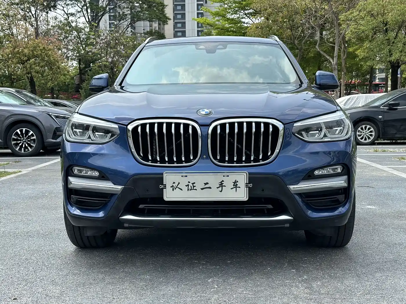 BMW X3 2018 xDrive25i Luxury Package China V фото 2
