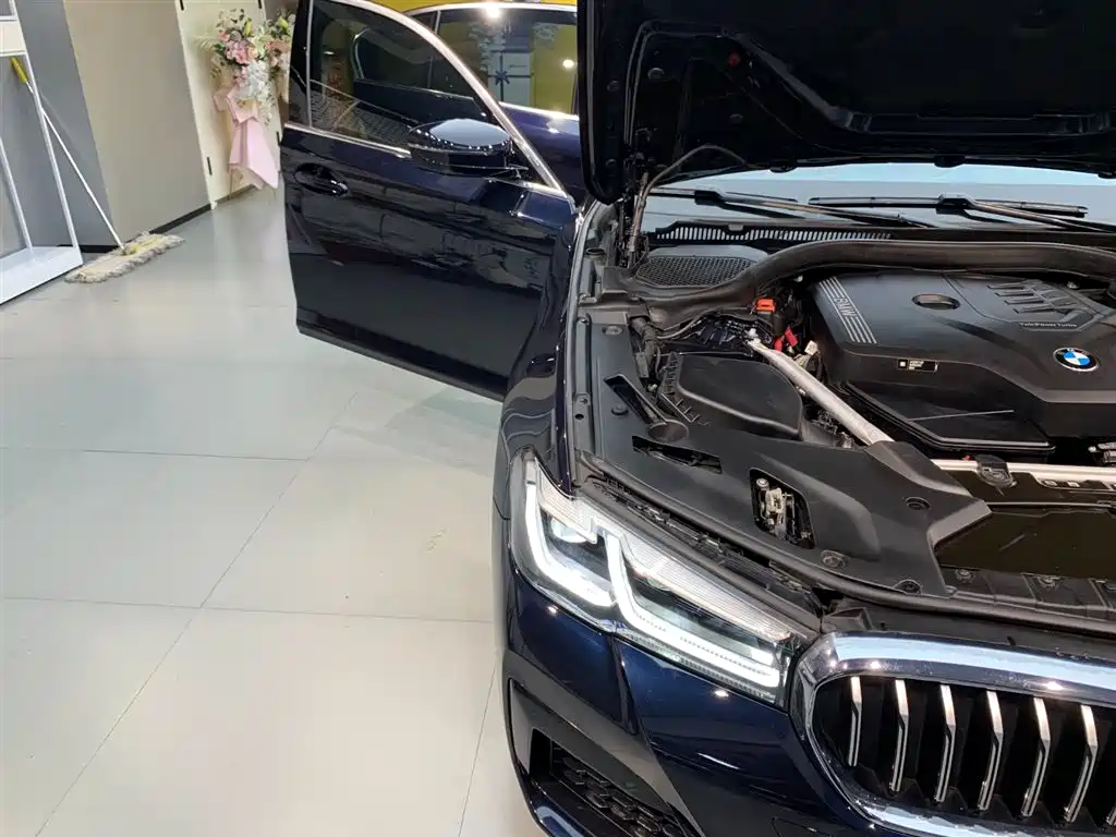 BMW 5 Series 2021 Facelift 525Li M Sport Package фото 19