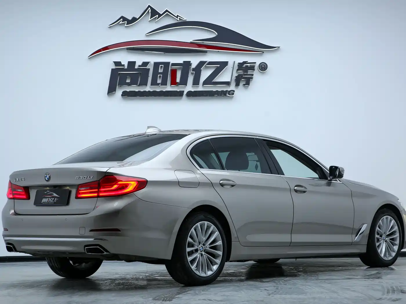 BMW 5 Series 2019 530Li Leading Luxury Package фото 8