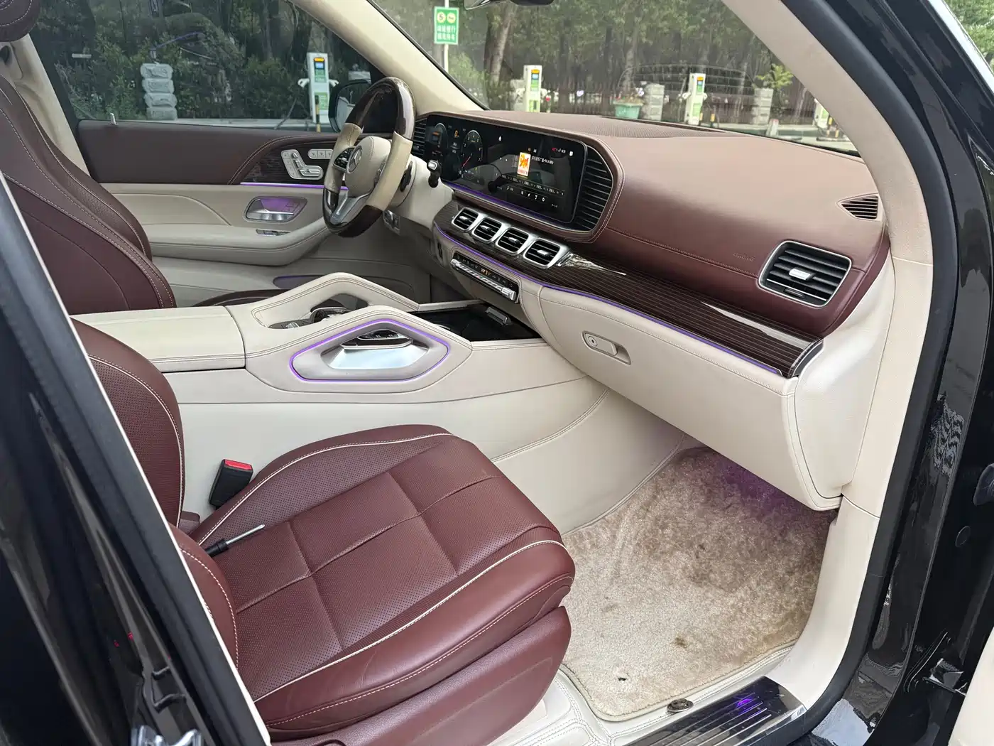 Mercedes-Benz Maybach GLS 2021 GLS 480 4MATIC фото 6