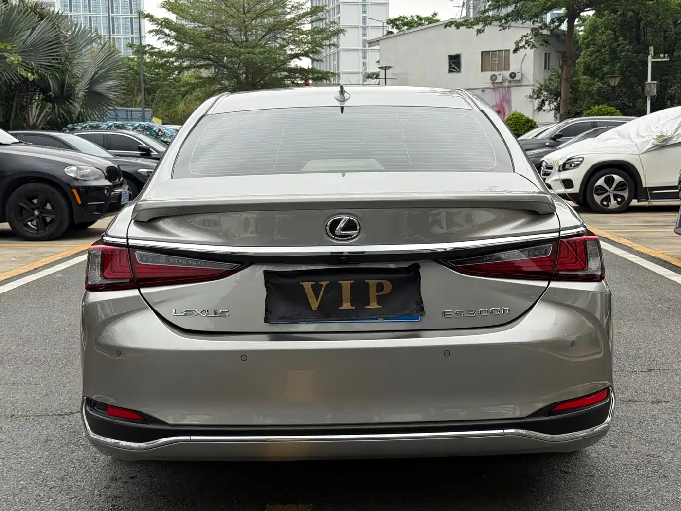 Lexus ES 2022 300h Executive Edition фото 8