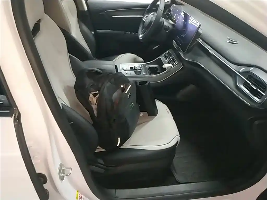 BYD Destroyer 05 2024 Glory Edition DM-i 55KM Luxury фото 25