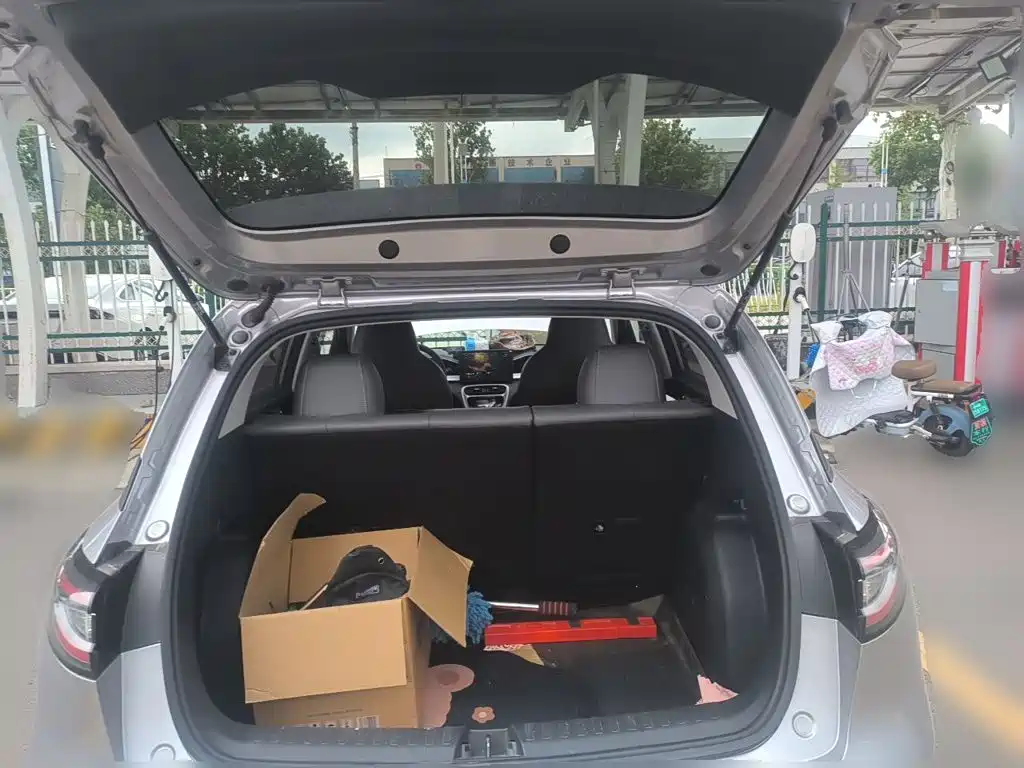 Geely Galaxy Starry Wish 2025 2025 310km Youth Edition