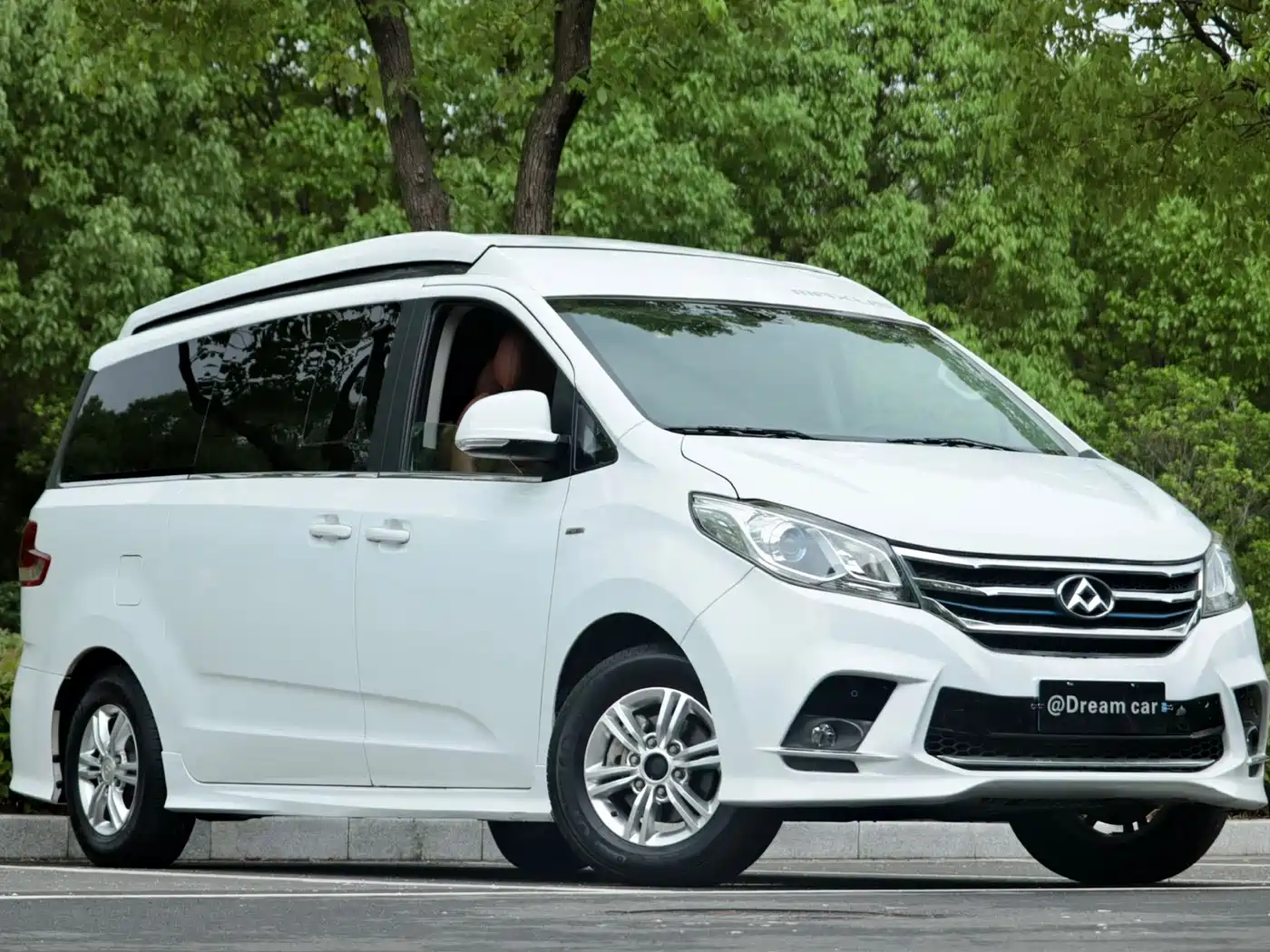 SAIC Maxus RG10 2019 2.0TGI Pop-top Camper Sunshine Edition фото 6