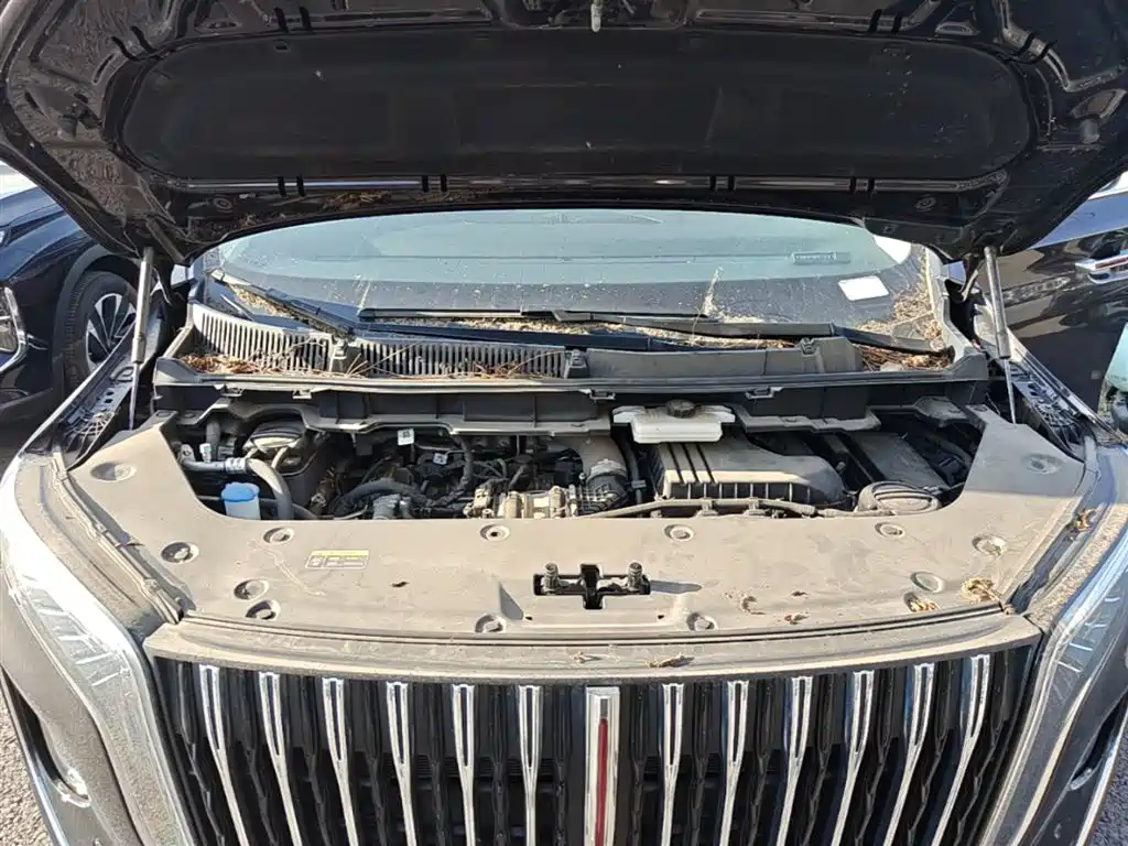 Hongqi HQ9 PHEV 2024 Model 2.0T AWD Business Edition фото 20