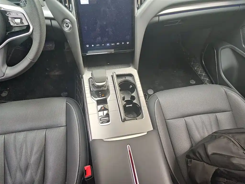 Hongqi HS7 PHEV 2024 2.0T PHEV 4WD Flagship Edition 6-seater фото 14