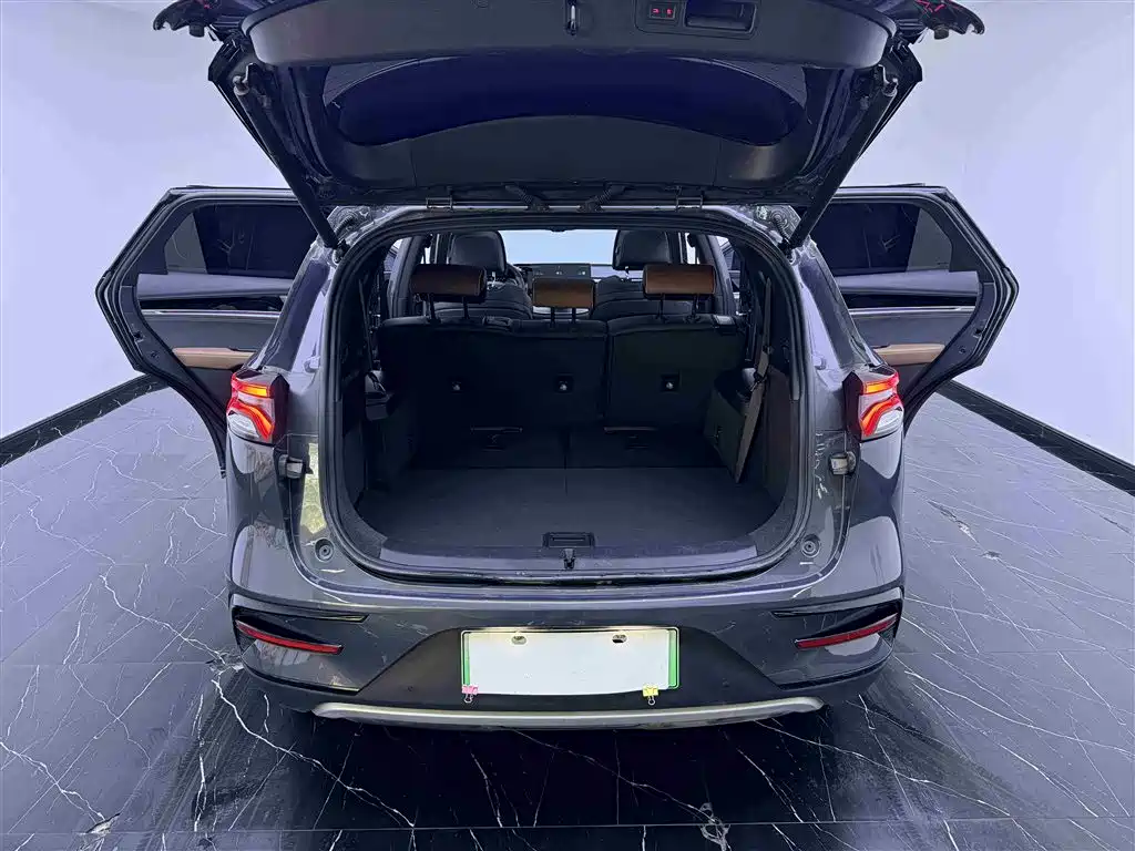BYD Tang New Energy 2021 DM-i 112KM Honor фото 7