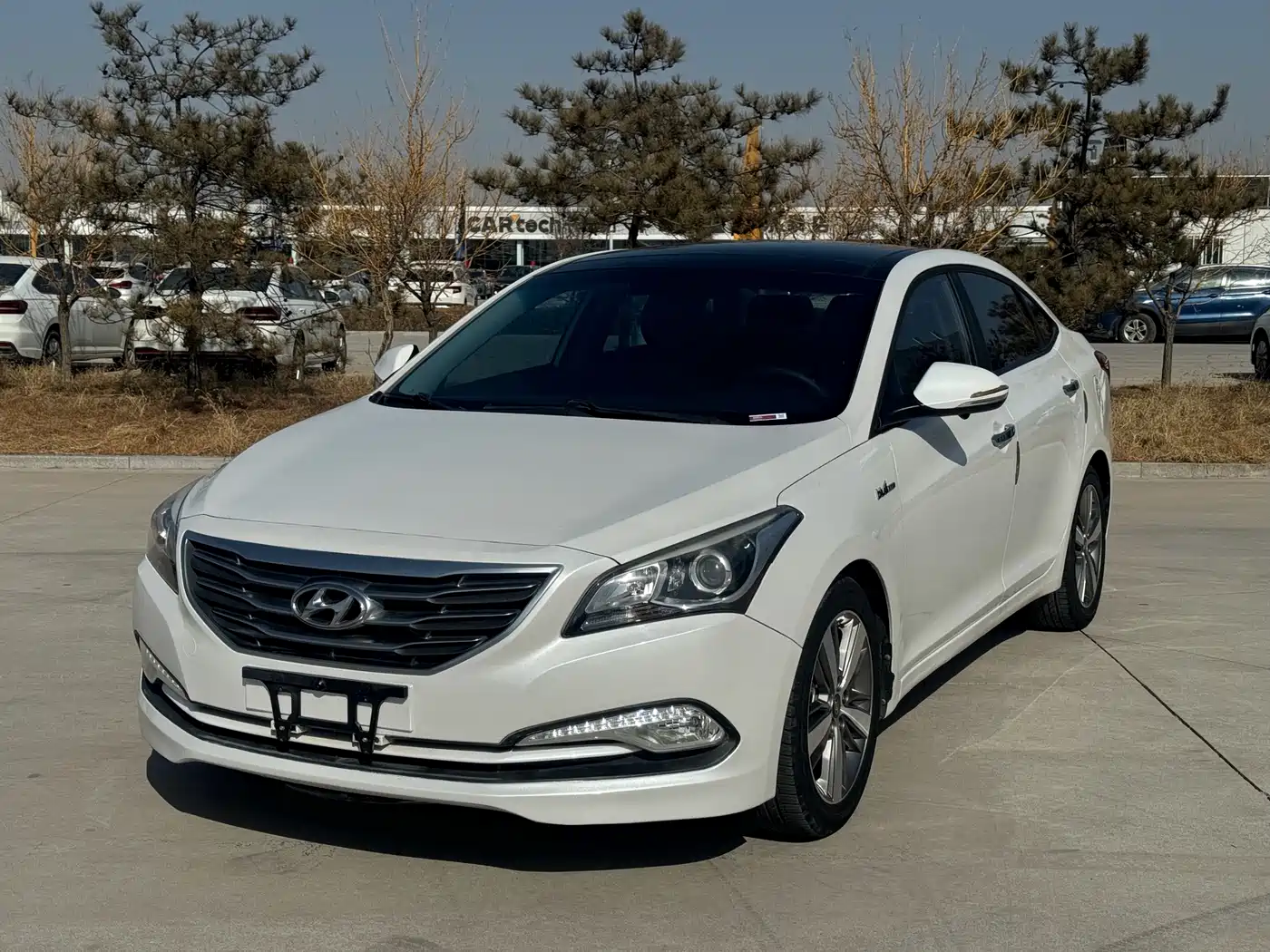 HYUNDAI NAME PICTURE