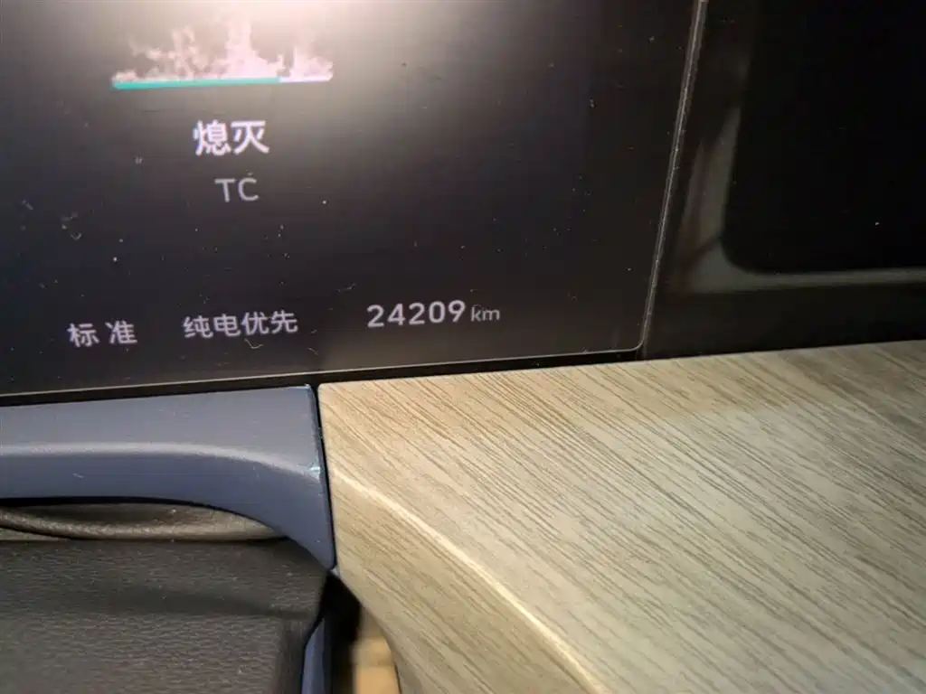 Tank 500 EV 2025 Hi4-Z фото 19