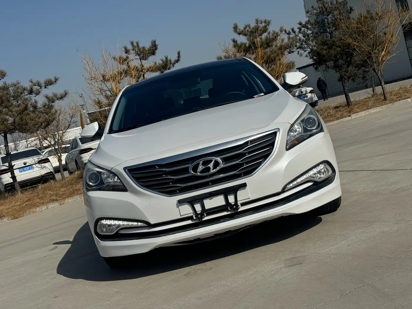 HYUNDAI NAME PICTURE
