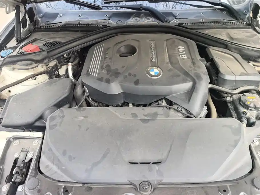 BMW 3 Series 2018 320Li Leading M Sport Package фото 10