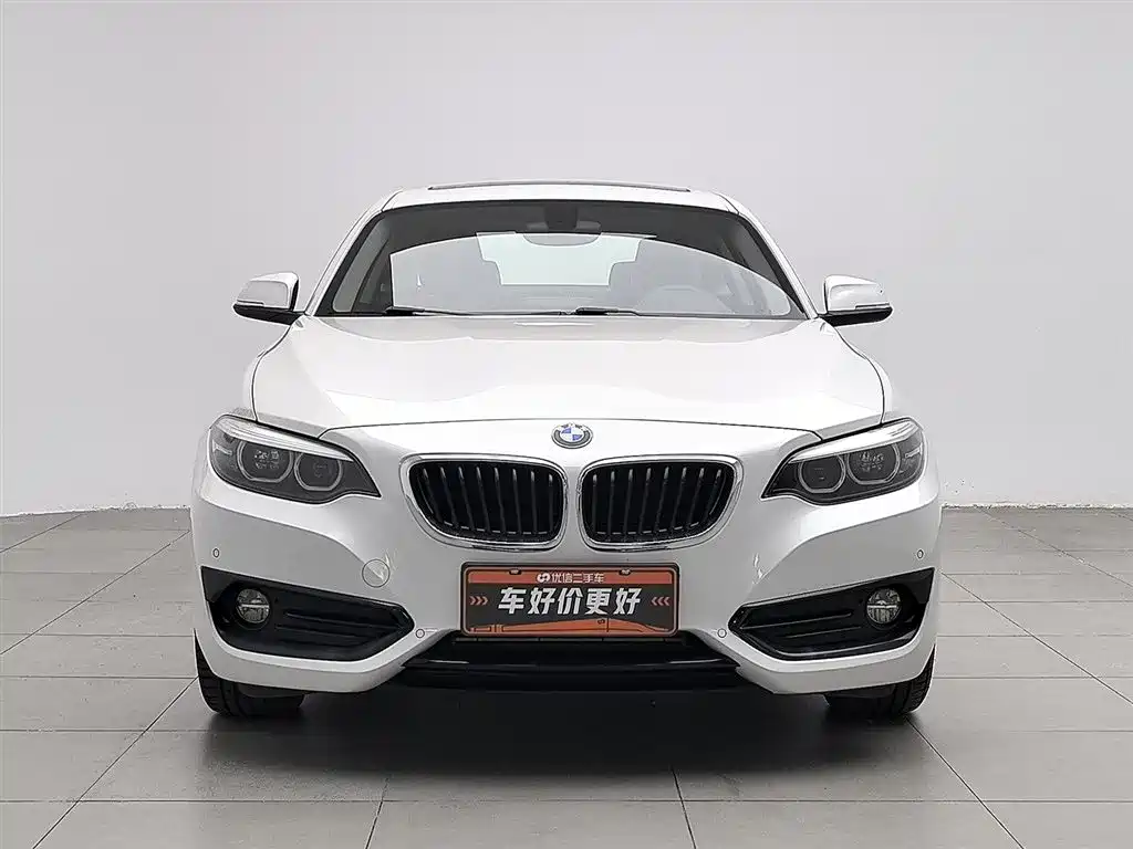 BMW 2 Series (Import) 2018 220i Sport Design Package фото 3