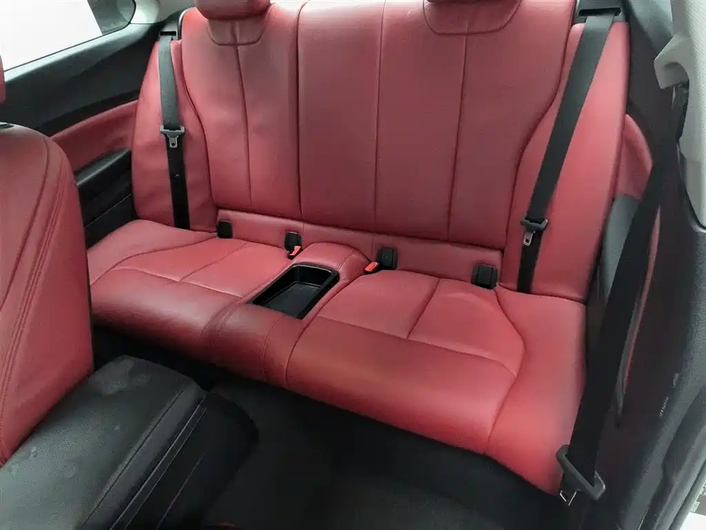 BMW 2 Series (Import) 2018 220i Sport Design Package фото 15