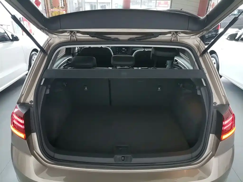 Volkswagen Golf 2019 1.6L Auto Comfort (China V) фото 18