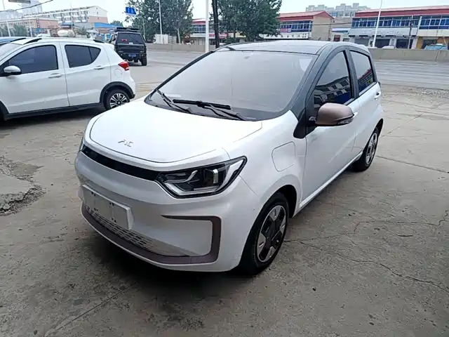  JAC Yiwei Yttrium Flower Fairy 2024 Beloved Edition 301km Lite