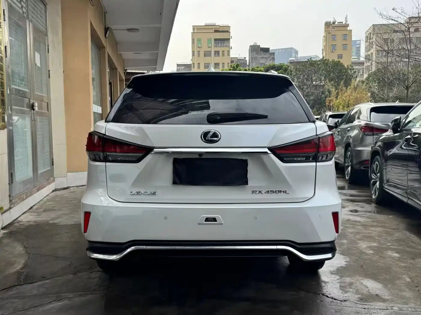LEXUS RX