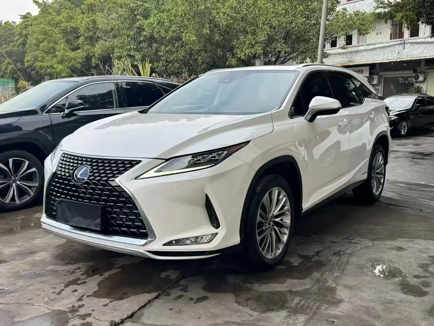 LEXUS RX