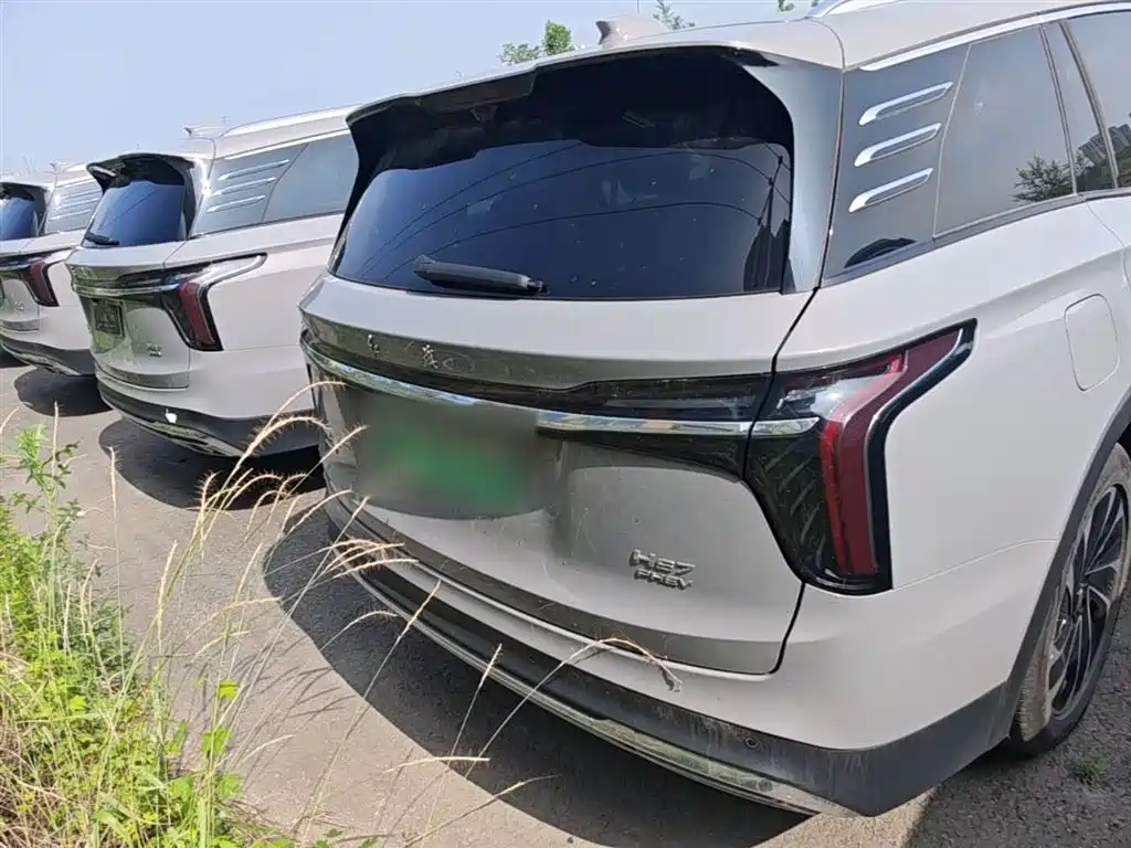Hongqi HS7 PHEV 2024 2.0T PHEV AWD Flagship 6-Seater фото 6