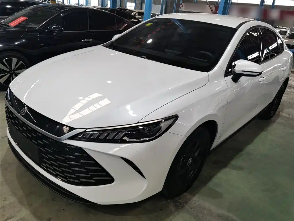 BYD Qin PLUS 2025 DM-i Smart Drive 55KM Leader фото 2