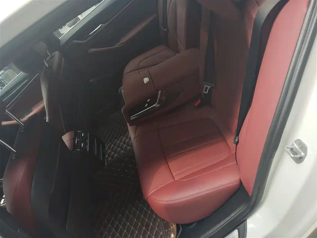 BMW 5 Series 2020 530Li Leading M Sport Package фото 17