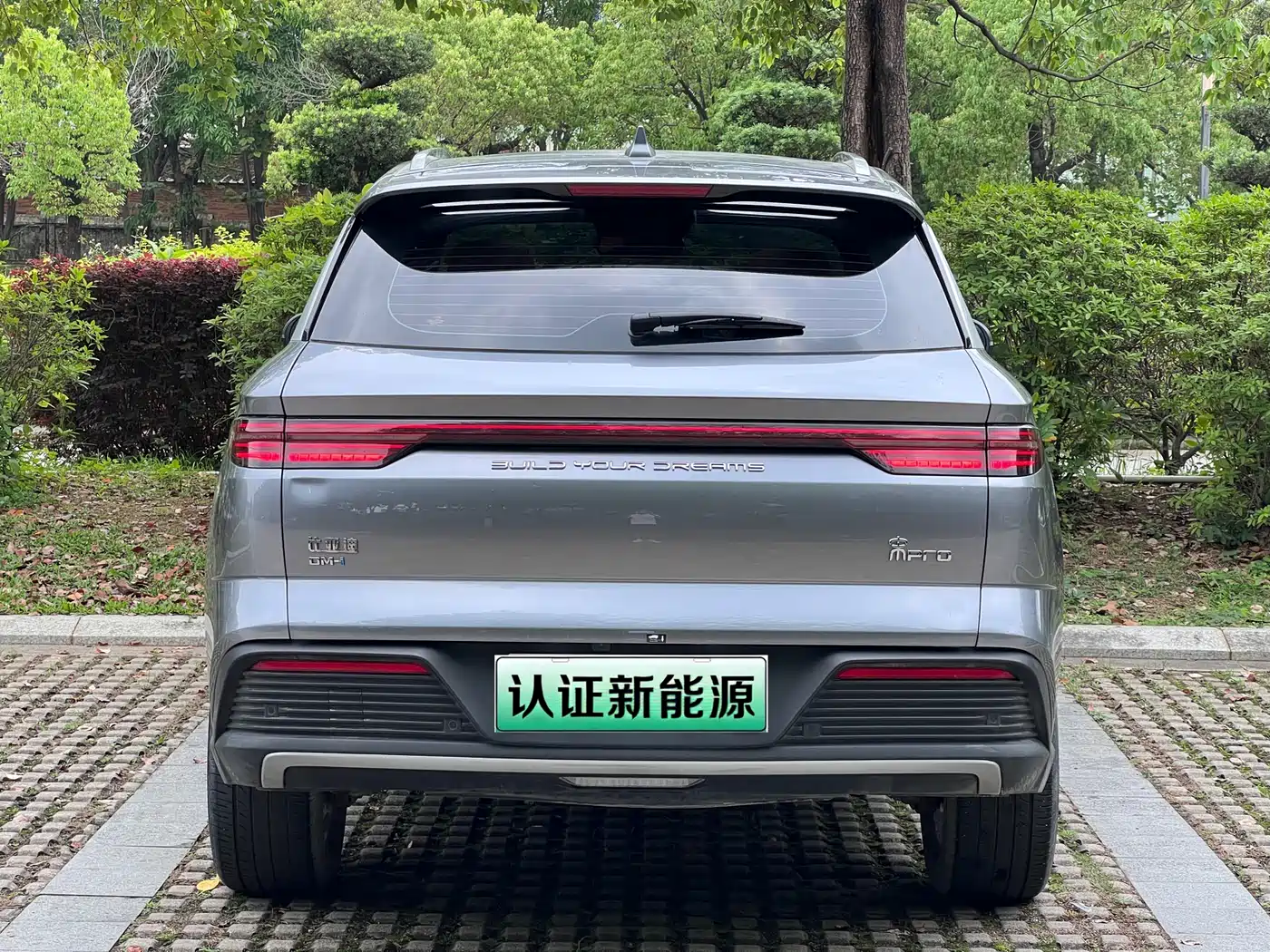 BYD SONGJIANG NEW ENERGY