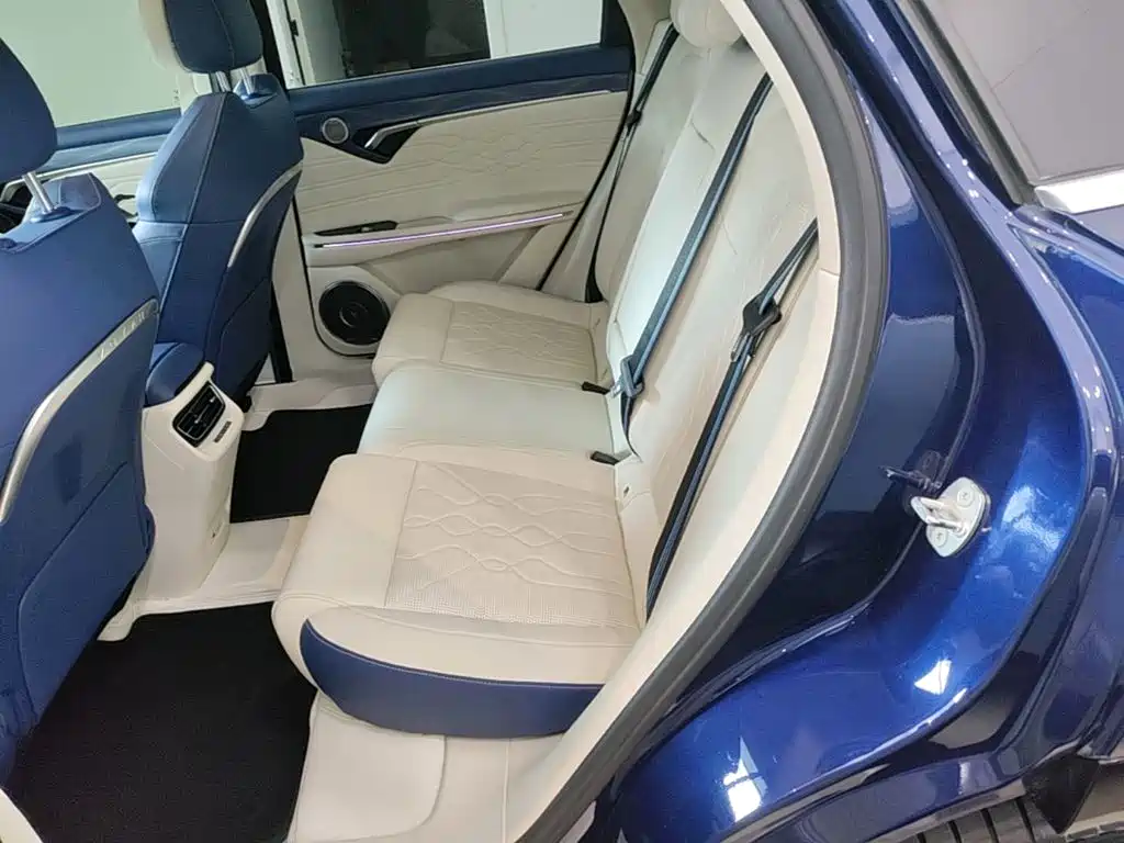 Voyah Free 2021 2021 4WD Extended Range Launch Edition Exclusive Luxury Package