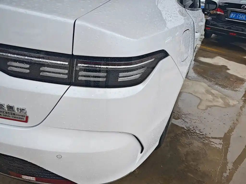 BYD Destroyer 05 2025 2024 Glory Edition DM-i 55KM Luxury