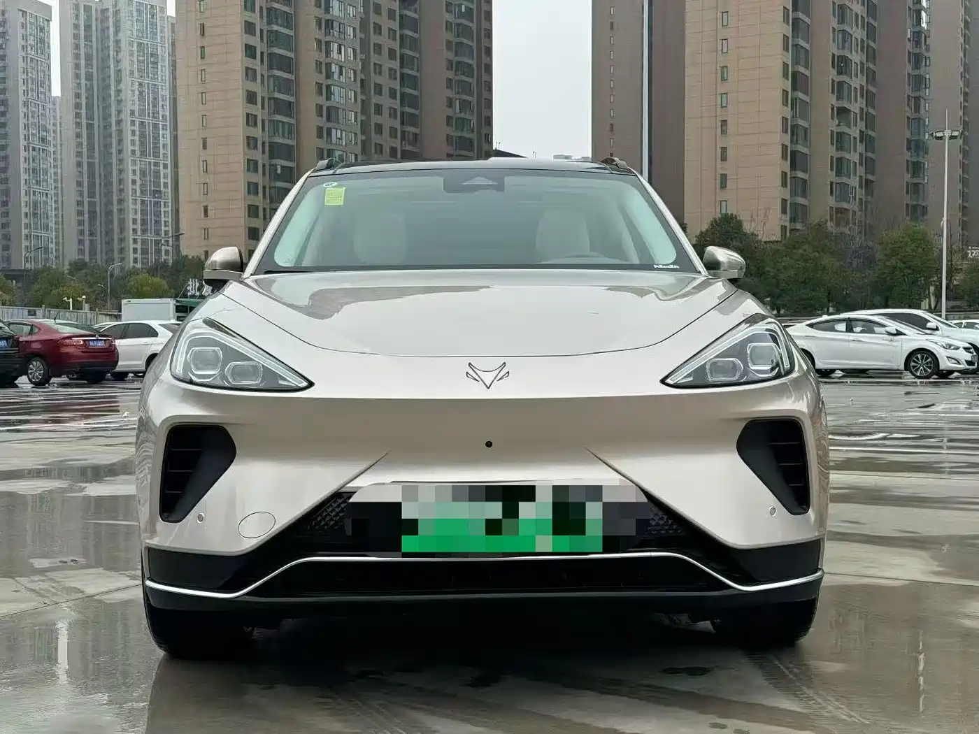 ARCFOX EXTREME FOX POLAR FOX ALPHA T6