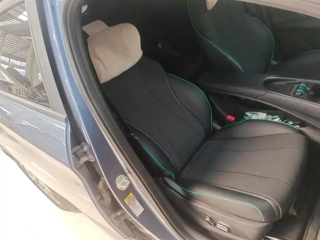 BYD Dolphin 2024 Glory Edition 420km Fashion Edition фото 25