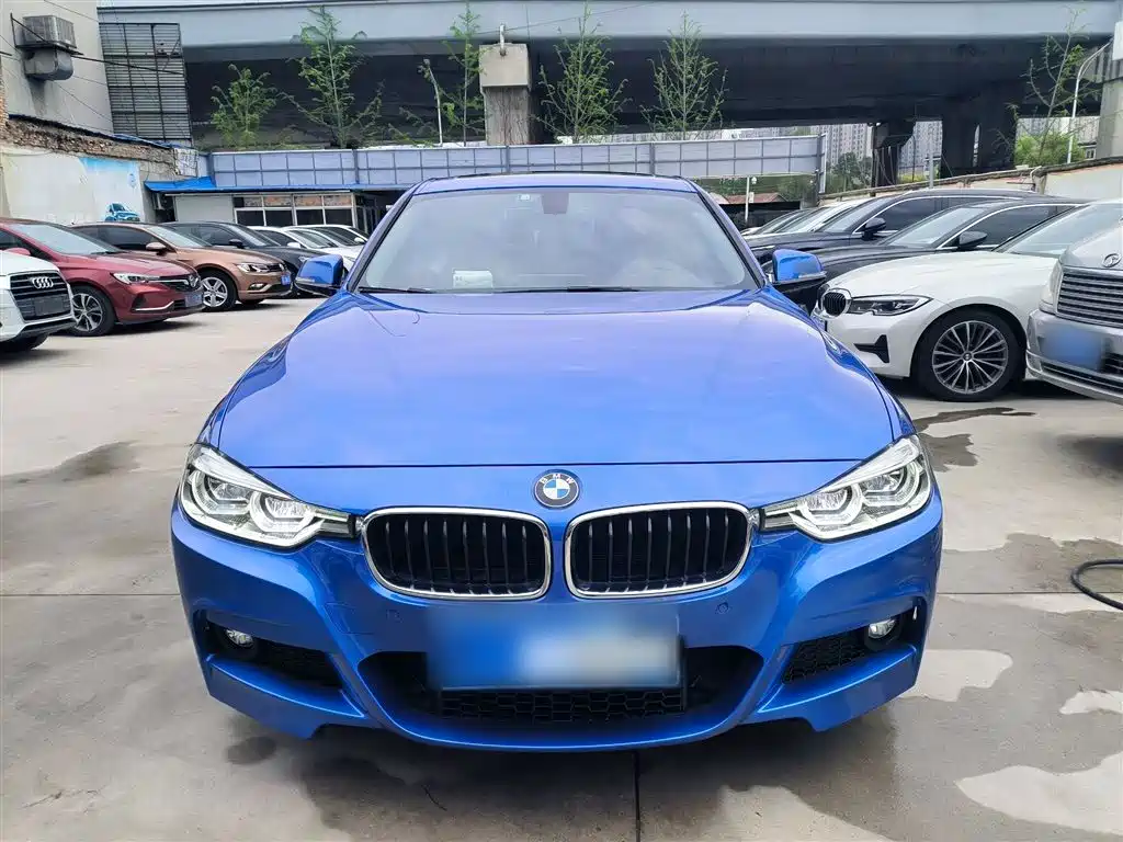 BMW 3 Series 2019 320Li M Sport Package фото 11